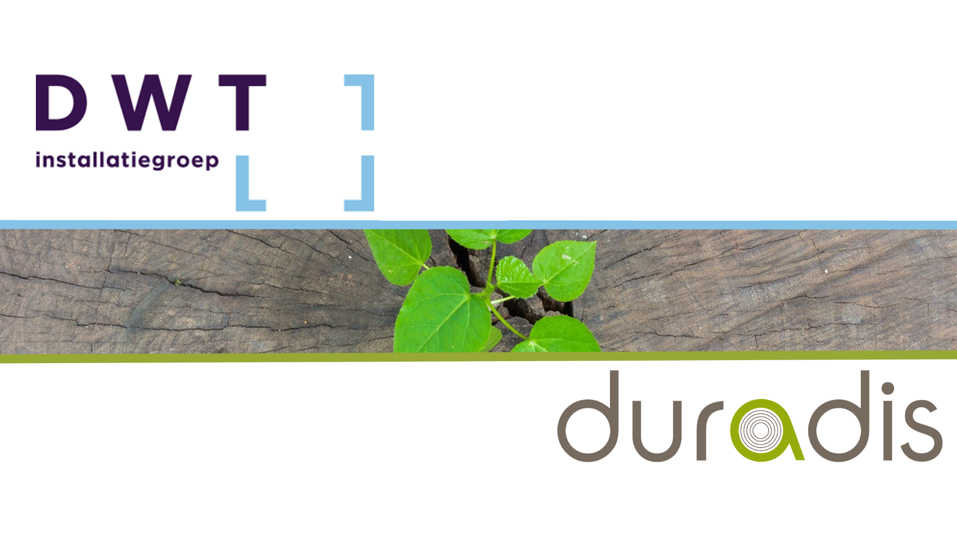 Ontwerp zonder titel (33)